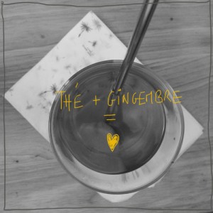 the-gingembre-frais-500